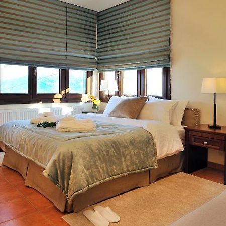 זגורה Guesthouse Kapaniaris חדר תמונה