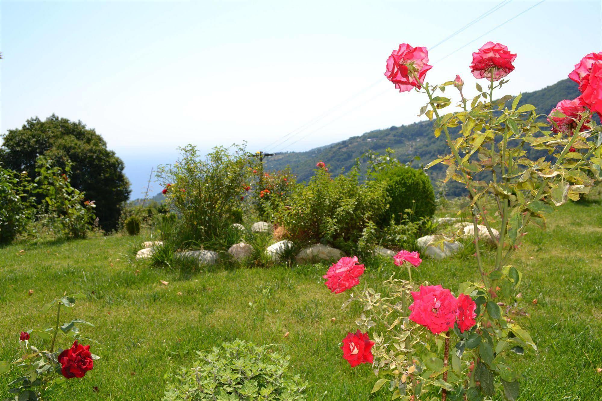 זגורה Guesthouse Kapaniaris מראה חיצוני תמונה